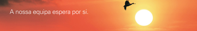 A Nossa equipa espera por si